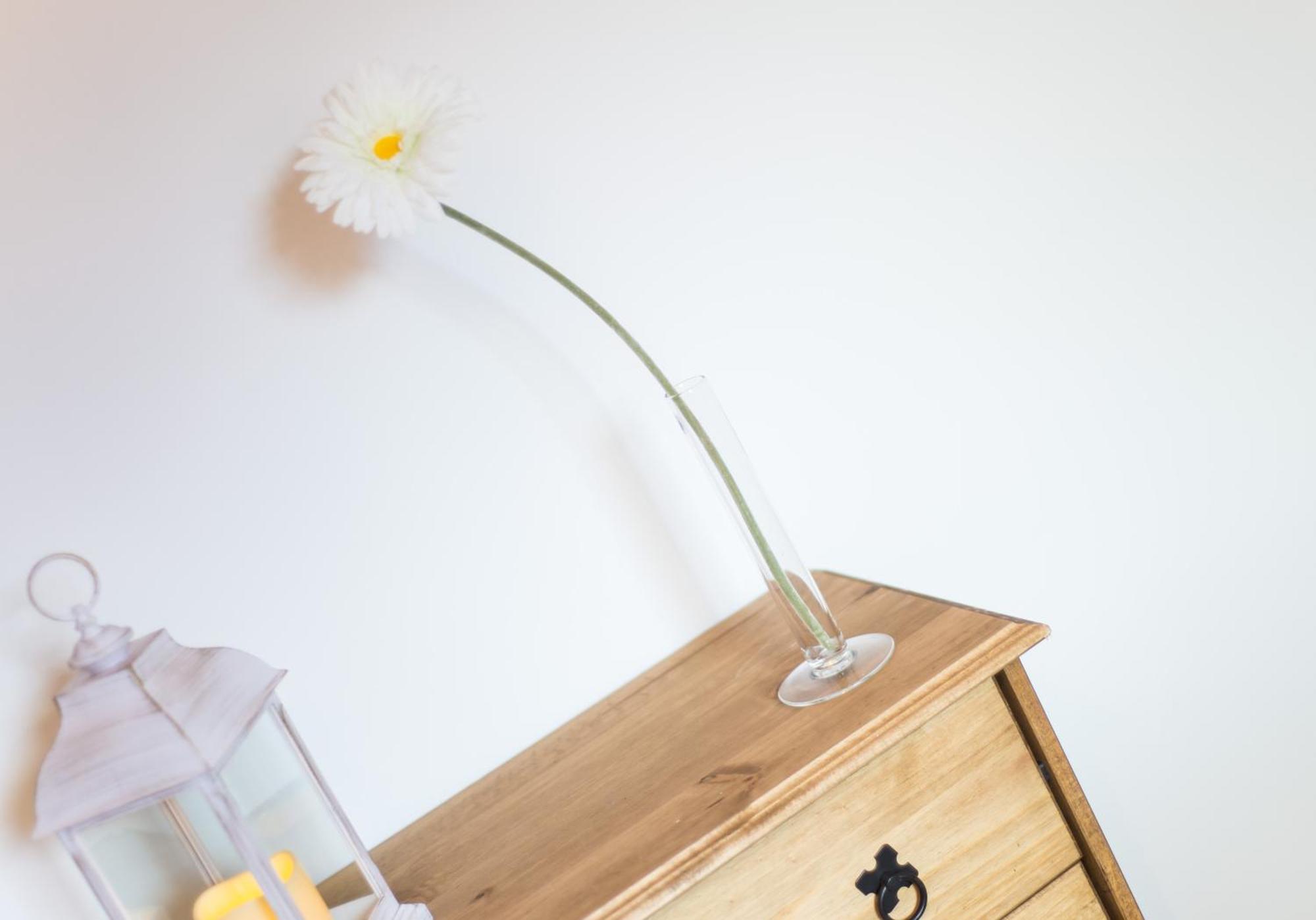 Kenmar House By Klass Living Hamilton Ngoại thất bức ảnh